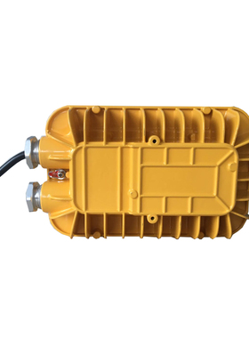 BFC8123防爆低顶过道灯 油库灯40W 电缆隧道用灯