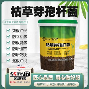 木鱼石水溶肥枯草芽孢菌杆菌生根肿苗枯萎草莓白粉病专用抗衰有机
