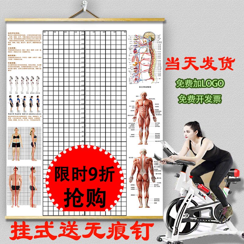 挂式体态评估表体测健身房私教身体矫正网格中医工作室背景墙贴图