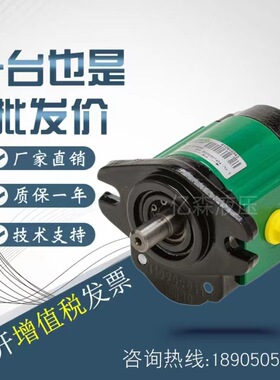 萨拉米SALAMI双联齿轮泵2PE16/19D 11.3/12.5D 22.5/26D-P28P1