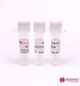 C1410 BL21(DE3)受体菌 分子生物学 科研用