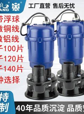 潜水泵QDX1.5-32-0.75可带浮球220V50HZ60HZ110VWQD污水泵抽水机