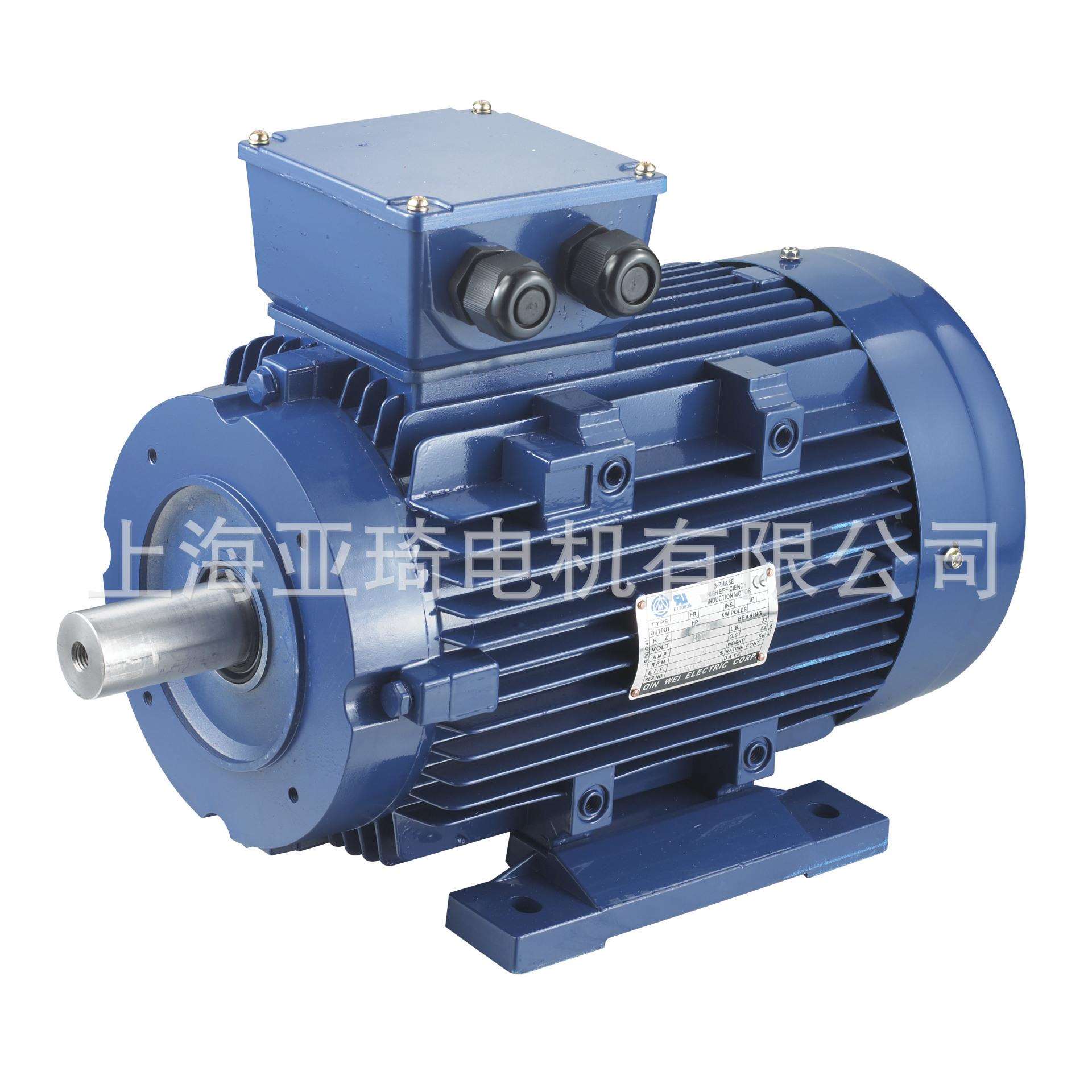 3-PHASE INDUCTION MOTOR 三相异步铝壳电动机 微型电动机
