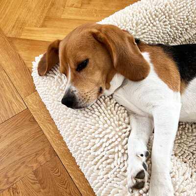 跨境宠物狗睡垫狗沙发床可拆洗狗床狗窝加厚四季款狗Pet kennels