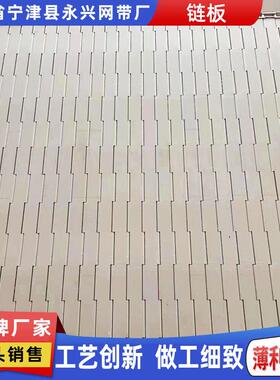 04不锈钢冲孔链板重型碳钢链板药材金银花烘干机挡边传送机链板