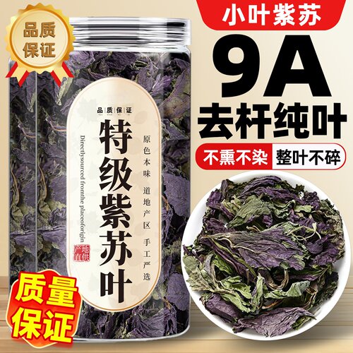 紫苏叶新鲜食用紫苏叶干中药材
