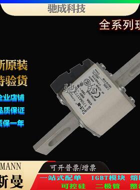 巴斯曼170M3760 170M3761 170M3762 销售供应零售 快速保险丝