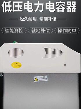 智能电容器10/20/30/40/50/60kvar450智能集成无功补偿电力电容器