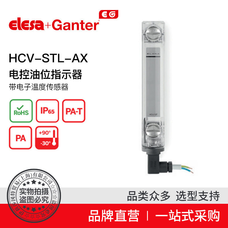Elesa Ganter伊莉莎冈特 HCV-STL-AX 电控油位指示器