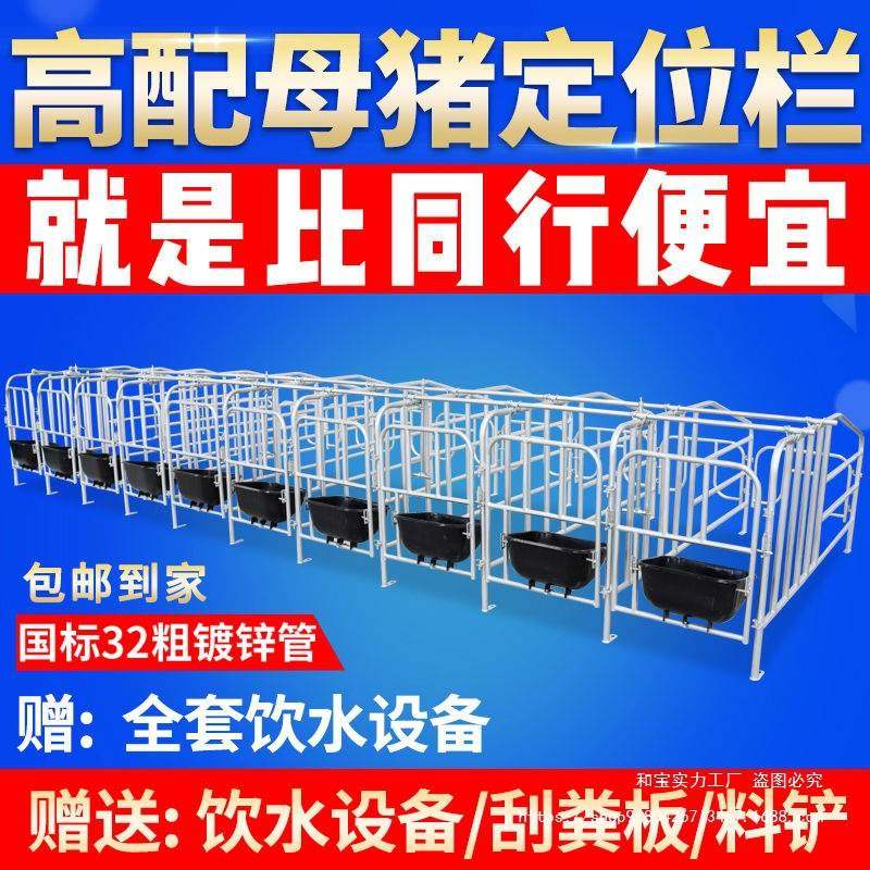 母猪定位栏国标32粗复合板限位栏5位10位母猪产床保育床养猪设备