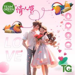 TeamGreen情人节限定纸拼鸳鸯模型情人节礼物送男生送女生礼物