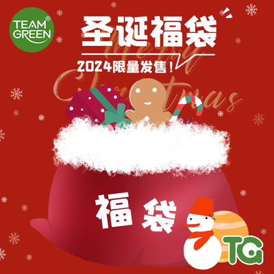 TEAMGREEN航天木制拼搭积木