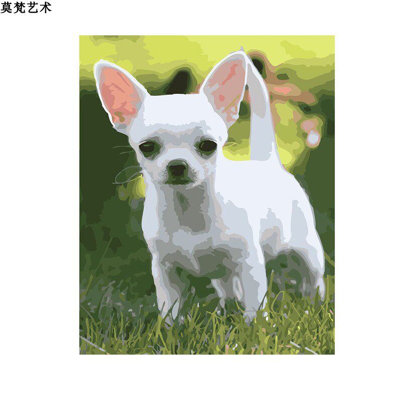 数字油画diy手工填充吉娃娃狐狸C犬手绘涂色画儿童房卧室油彩画画