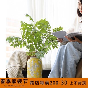 芙菡家居帝王黄《灵雀兆r喜》古董藏品手绘釉下彩客厅水培陶瓷花