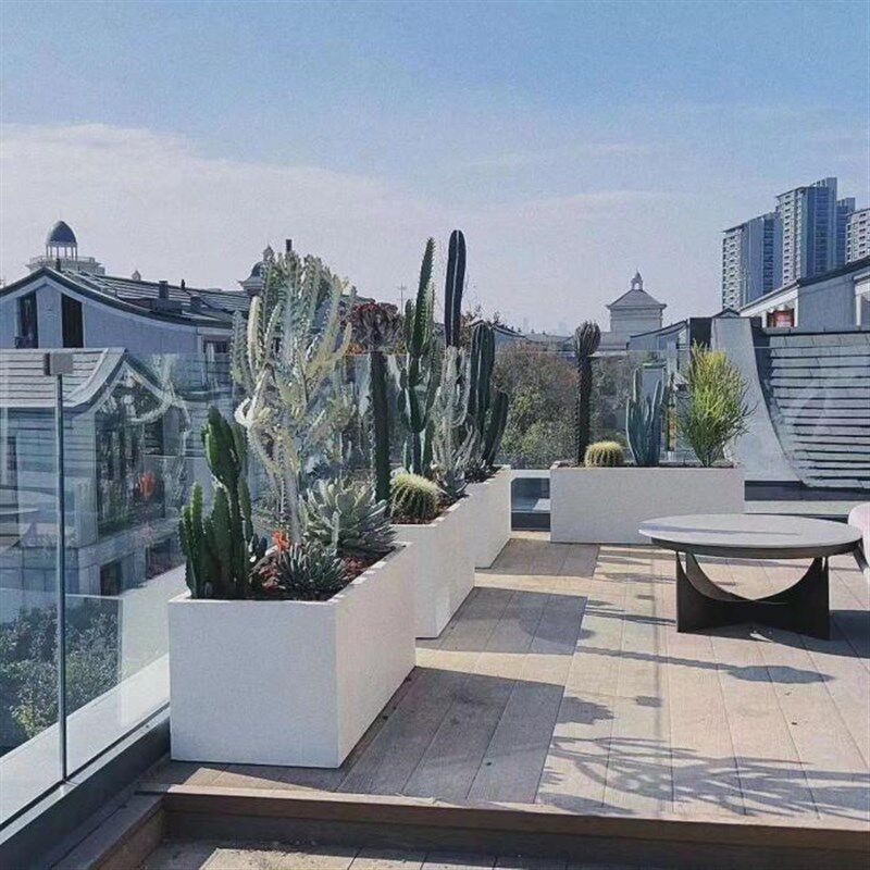 大型盆栽室内外i绿植隔断屏风组合摆件落地景观真花卉阳台造景植