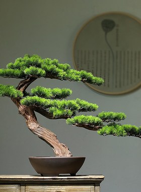 仿真迎客松盆景酒店办公室玄关桌罗汉松摆件客厅电视柜.家居装饰