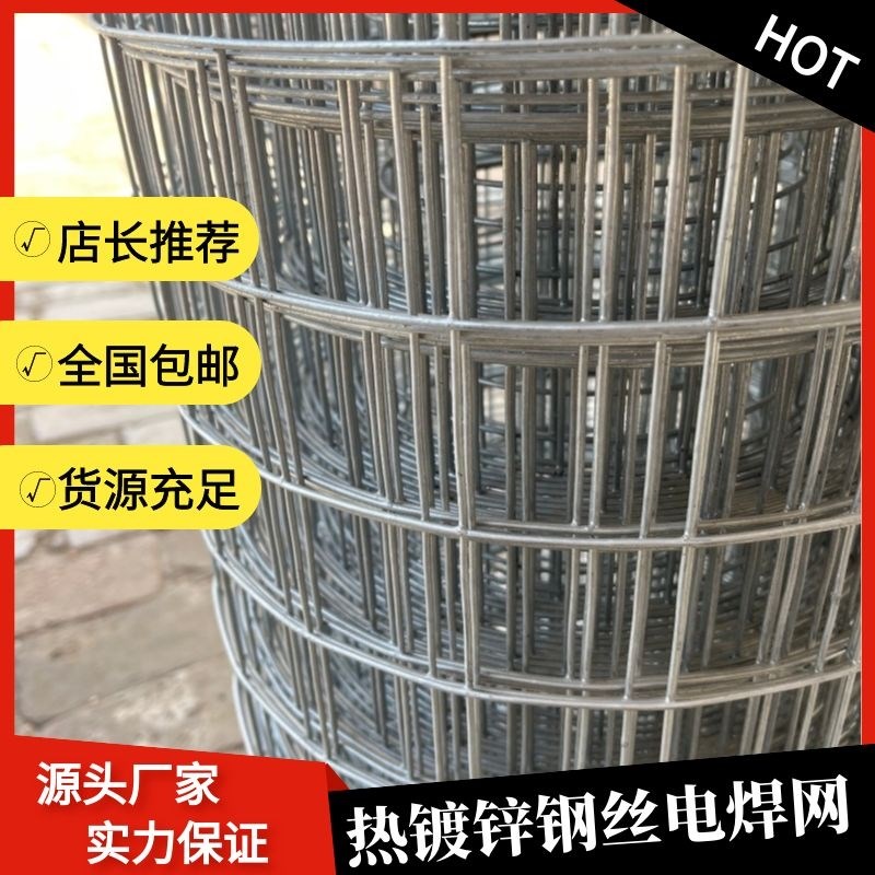 镀锌铁丝网养f鸡鸭围栏网隔离网家用电焊网钢铁丝网荷兰网养狗护