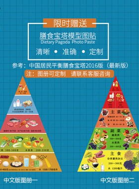 仿真食品膳食宝塔食物模型金字塔居民饮食均衡营T养食物交换份道
