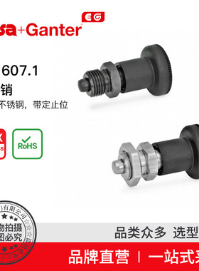 Elesa Ganter伊莉莎冈特 GN 607.1 分度销 不锈钢 带定止位