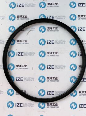 B+S密封圈TG3201200-T10N现货供应爱泽工业