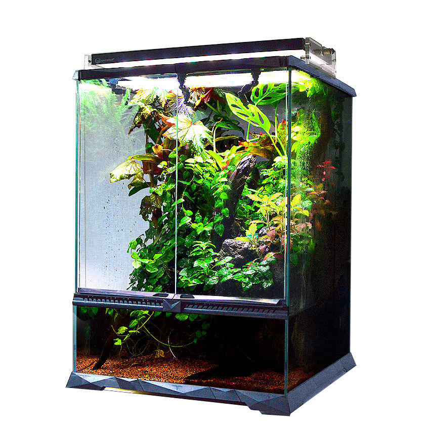 雨林缸生态造景缸热带雨林植物蜥蜴爬宠爬虫守宫饲养箱爬宠雨淋缸,电子元器件市场,电线扎带/束线带,淘宝优惠券,粉丝福利购,淘宝优惠卷