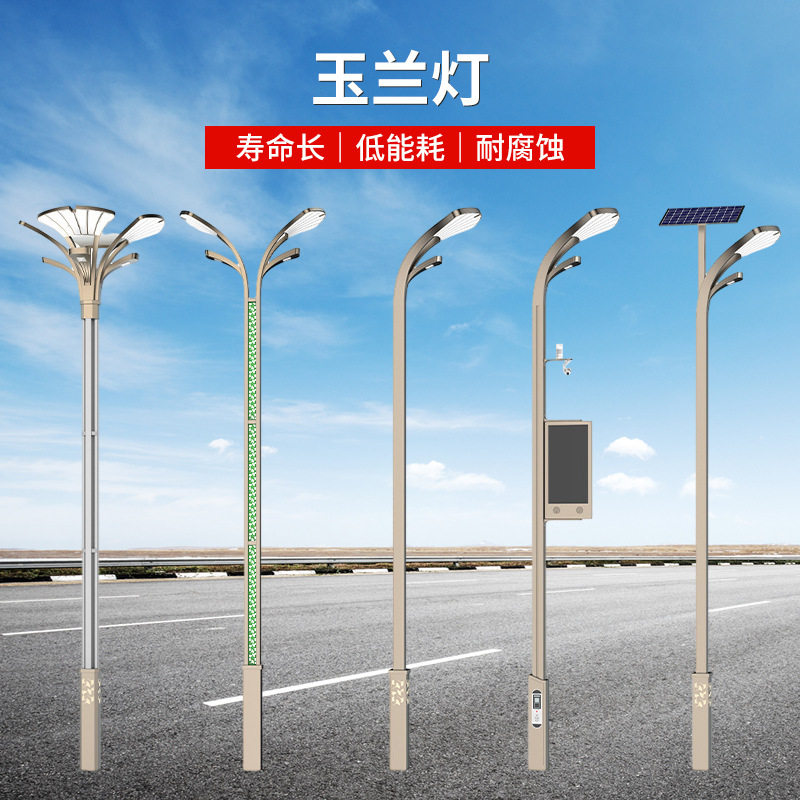 6米10米中华玉兰灯市政公路广场高杆路灯室外装饰组合LED玉兰灯
