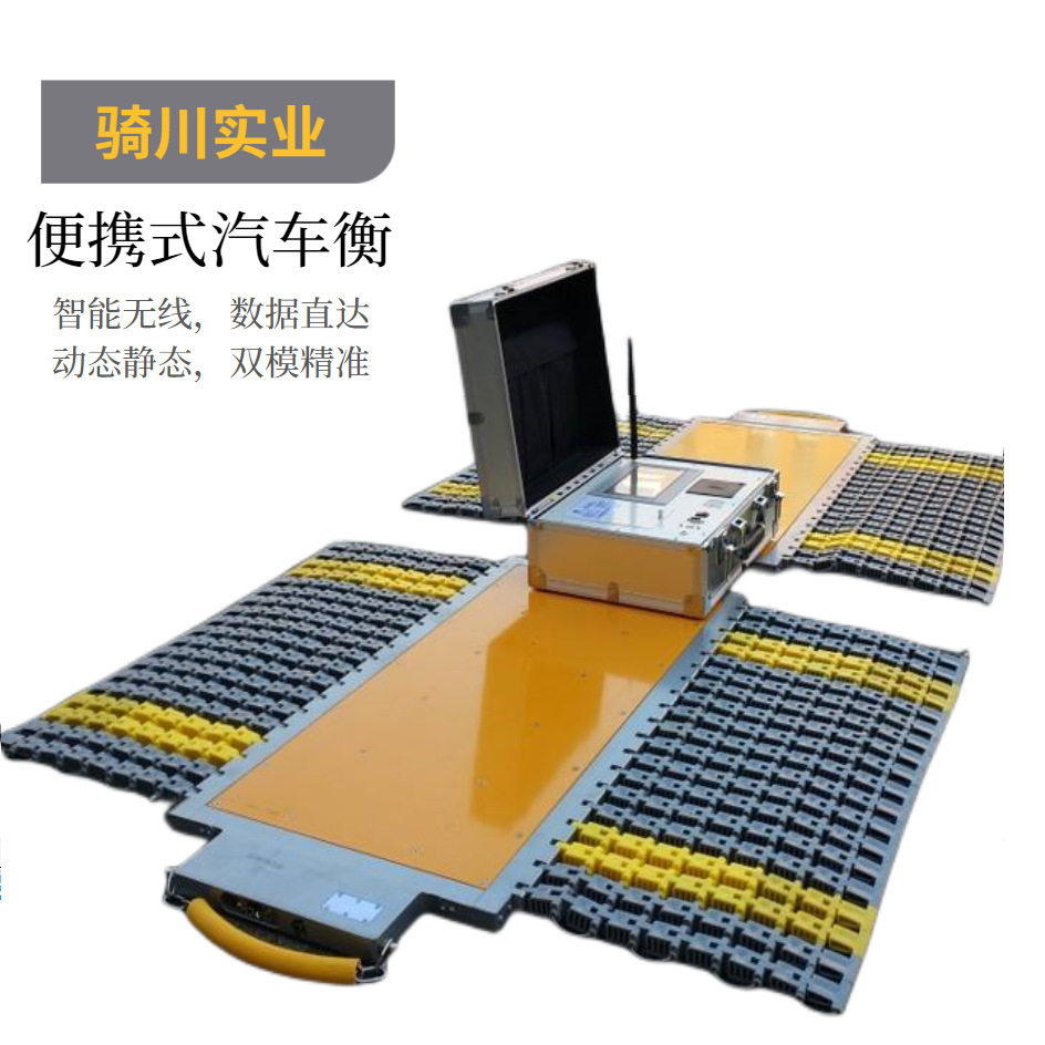 动态便携交直流30吨单轴轴重仪