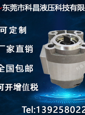 科昌货车尾板齿轮泵凯卓力通用增压动力单元油泵CBQZ-G2.5齿轮泵