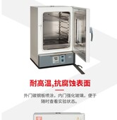450 泰斯特电热鼓风干燥箱WGL 125D 450恒温电热鼓风干燥箱