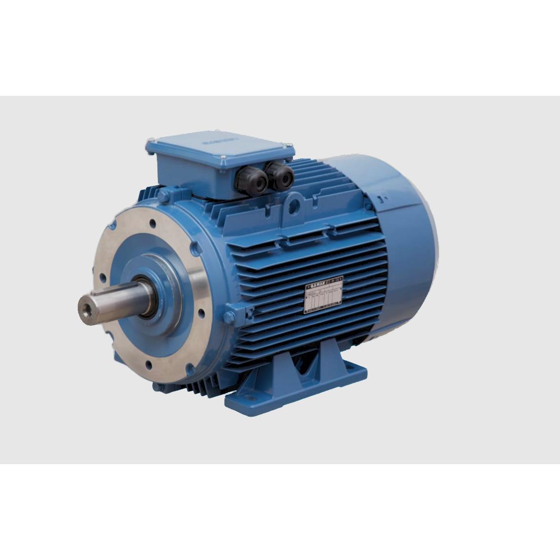 供应土耳其GAMAK电机GM2EAGM2EGM3EAGM3E系列电动机铸铁铝壳