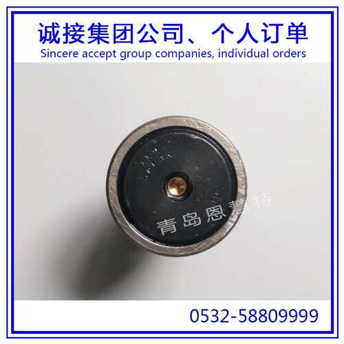 IKO轴承滚针凸轮导向器CF3R CF4R CF5R CF6R CF8R轴承