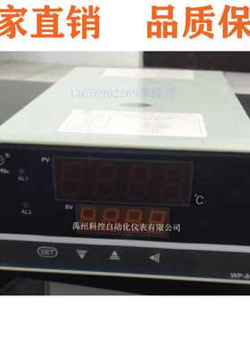 上润仪表WP-D824-71-23-HH-T-HL WP-D832-01-04-HL32路多路巡检仪