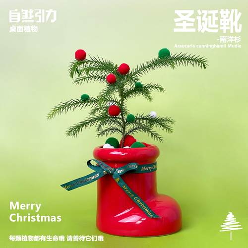 超可爱圣诞礼物圣诞树