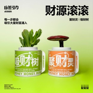 自然引力 灵芝桌面绿植盆栽办公室懒人好养吉祥盆栽小礼物 聚财灵