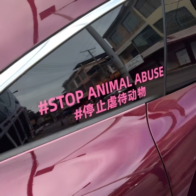 动物保护公益防水汽车装饰贴