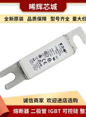 170M1796 170M1781 170M1782  型号齐全直流快速熔断器库存充足