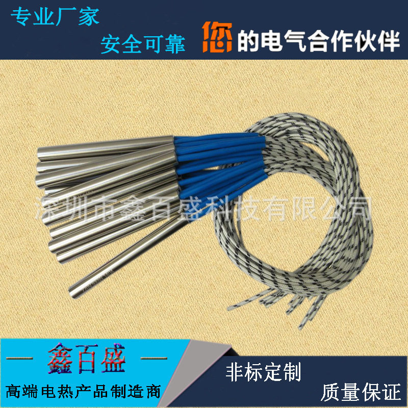 单头不锈钢模具干烧加热管