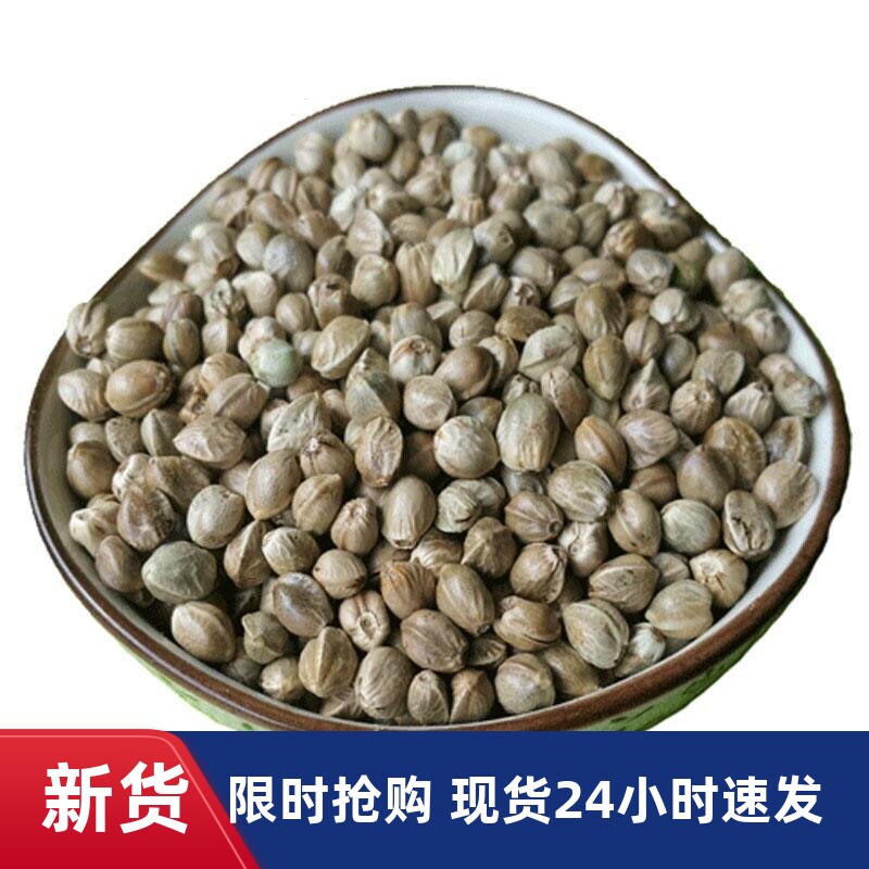 新货麻子大粒生新鲜火麻子麻籽人食用原味非五香零食包邮