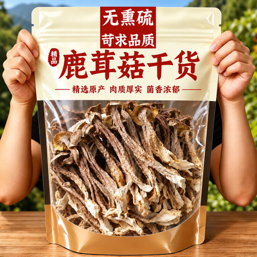 当季新货鹿茸菇 人工剪根干净 火锅炖肉优选