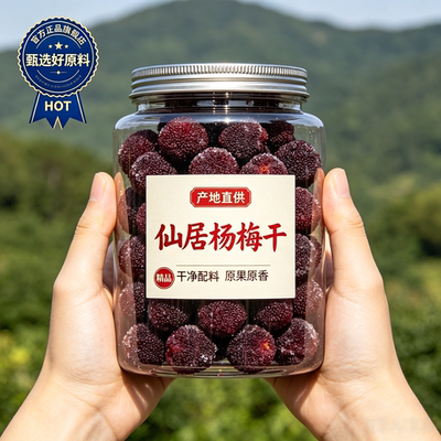 【掌柜推荐】正宗特级杨梅干
