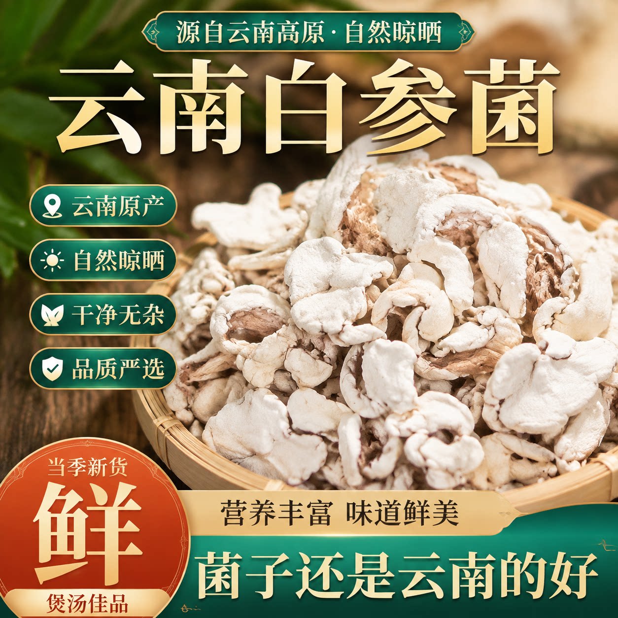 白参菌云南干货特产食用菌树花裂褶菌拌菜炖汤炖鸡蛋雪莲菌旗舰店