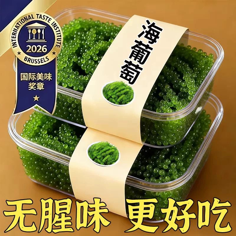 高品质！儿童海葡萄即食小孩吃的健康零食绿色鱼子酱新鲜盐渍凉拌