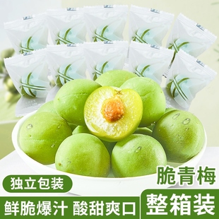 爽口梅脆青梅脆梅鲜果梅子独立小包装 腌制水果青口梅追剧酸甜零食