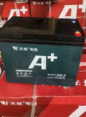 60伏45.3安 铅酸蓄电池（5只装）12V45Ah 6-EVF-45.3石墨烯蓄电池