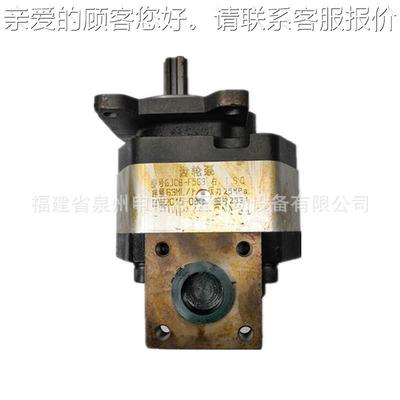 油泵液压机齿B轮泵GJBC-63-3S农90 GBG CBD-ZJA F100 CFX CT-F590