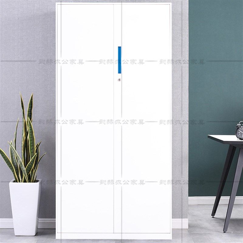 办公室文件柜玻璃门书柜财务凭证柜档案资料员工储物W铁皮白色带,商业/办公家具,文件柜,淘宝优惠券,粉丝福利购,淘宝优惠卷