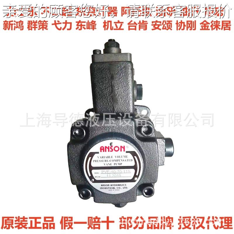 VP5F-B3-51SVP5F-B3-5 1 VP5FA5-5SBR11 VP5-F-A5-5S