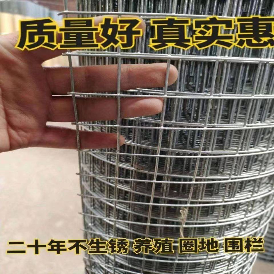热镀锌钢丝网电焊网栏养殖v鸡鸭兔鸽铁丝网围栏玉米围网圈地用网,五金/工具,护栏/隔离栏,淘宝优惠券,粉丝福利购,淘宝优惠卷