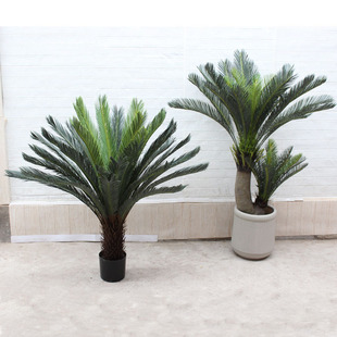 仿真铁树假树仿真绿植大型仿真树热带沙漠落地V摆放装饰苏铁树