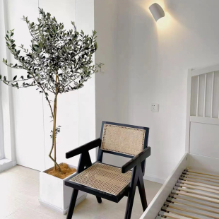 油橄榄树b盆栽花卉大盆景办公室开业室内客厅乔迁落地绿植大型植